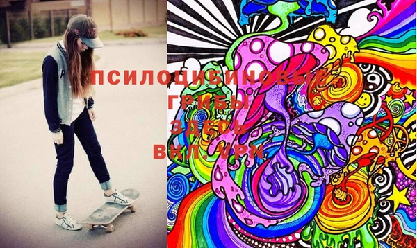 ГАЛЛЮЦИНОГЕННЫЕ ГРИБЫ Кодинск