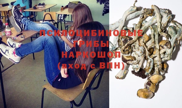 а пвп мука Краснослободск