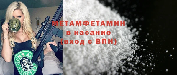 прущие грибы Куйбышев